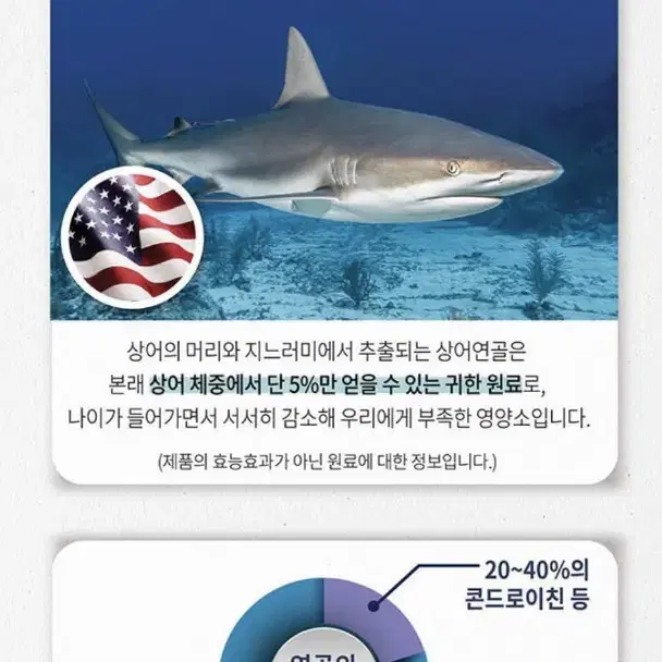 (정가19만원)콘드로이친 3개월분