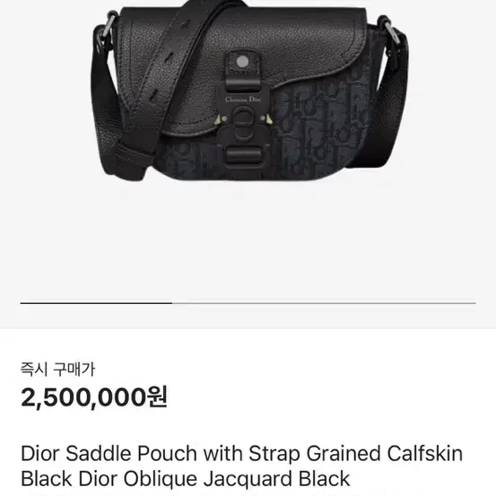 디올 dior saddle 새들백