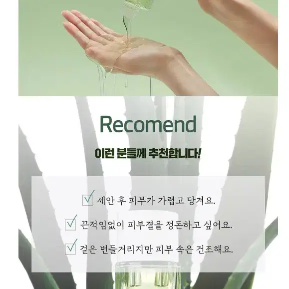 김정문알로에 큐어 피토라인 5종 선물용