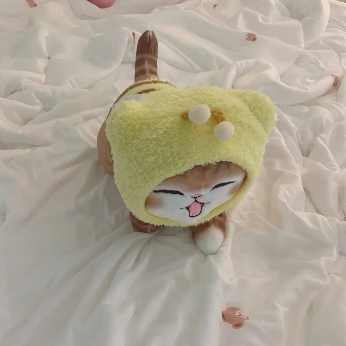 모후샌드 고양이 꿀벌 인형