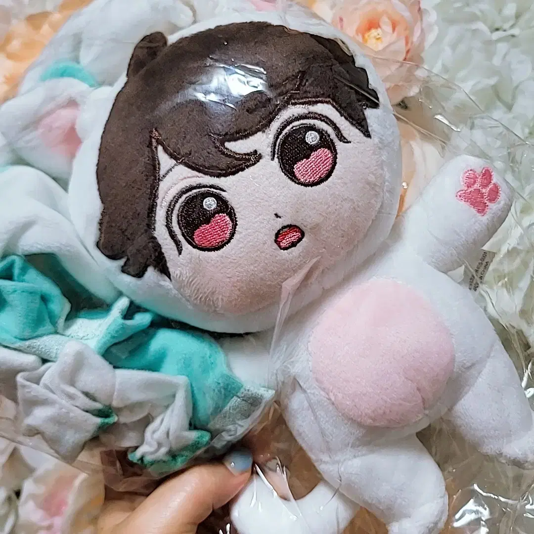 Haikyuu Oikawan Persian Doll