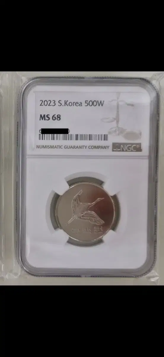 2023년 NGC 그레이딩 68등급