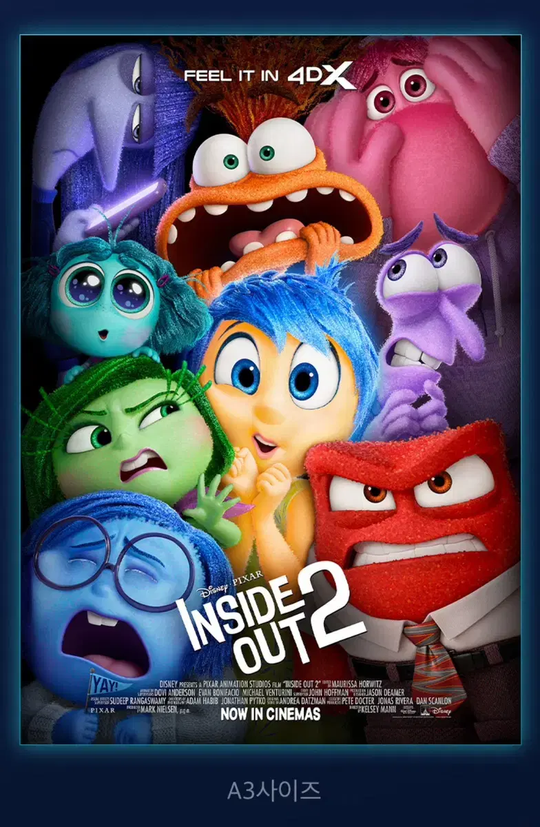 Inside Out 2 Poster - 4DX Proxy Receipt