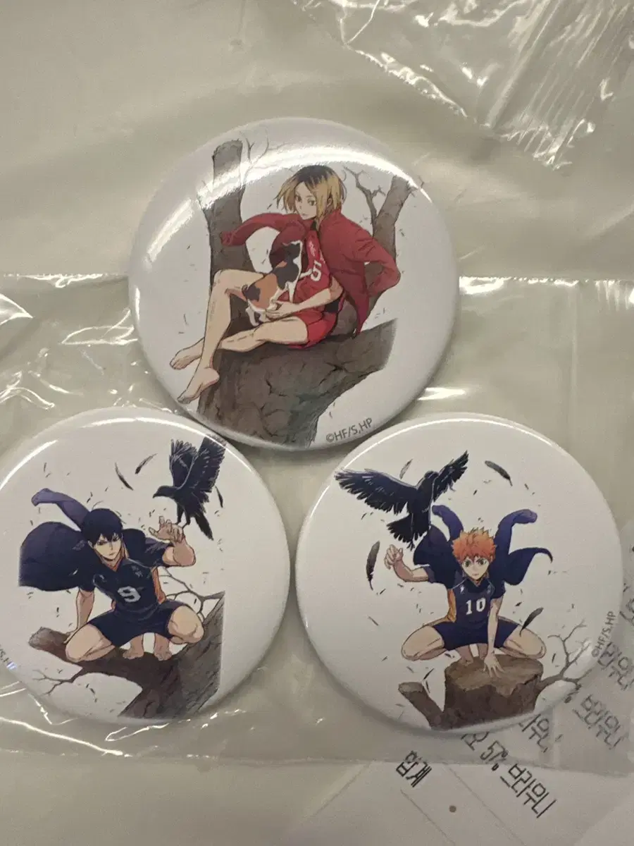 Haikyuu Barefoot hinata Kageyama Kenma Badge WTS