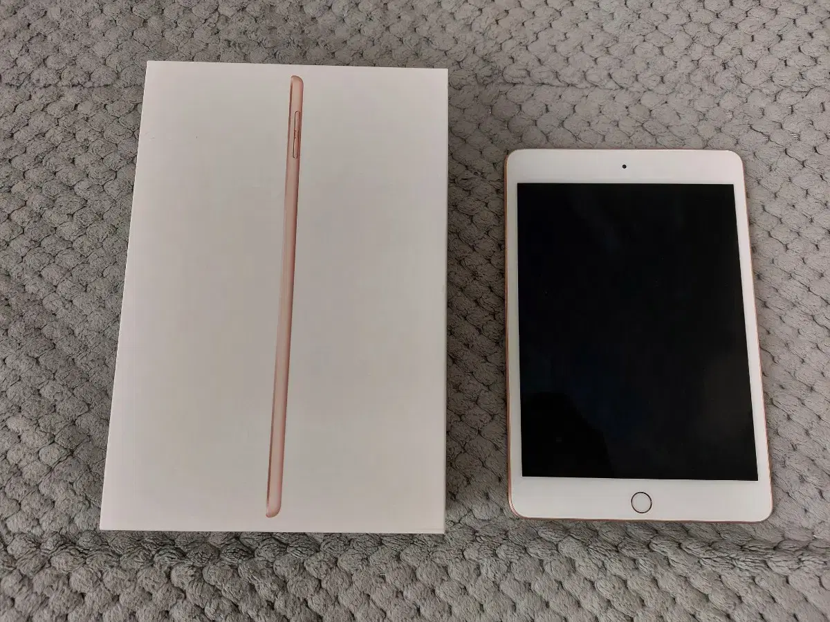 iPad mini 5 (wifi 256GB gold)