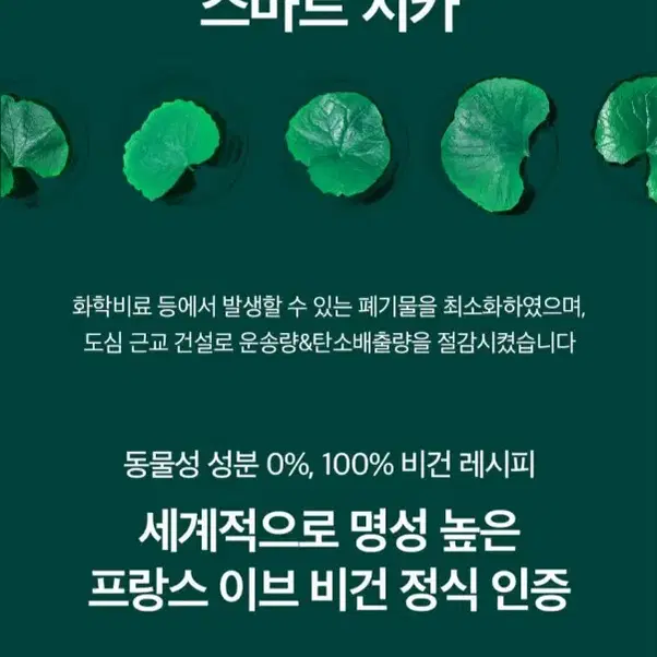 비플레인 시카테롤 캡슐 베리어 크림