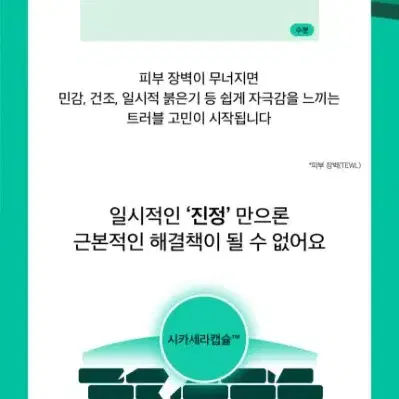 비플레인 시카테롤 캡슐 베리어 크림