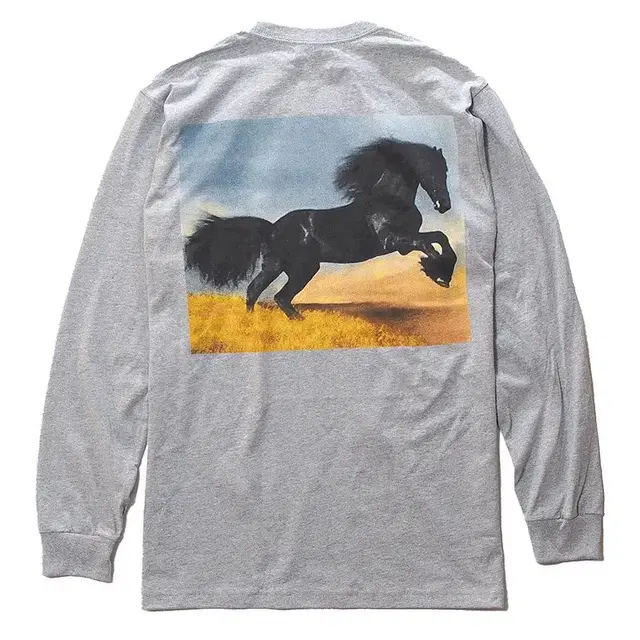 Supreme 14fw Stallion L/S Tee 롱슬리브 xl