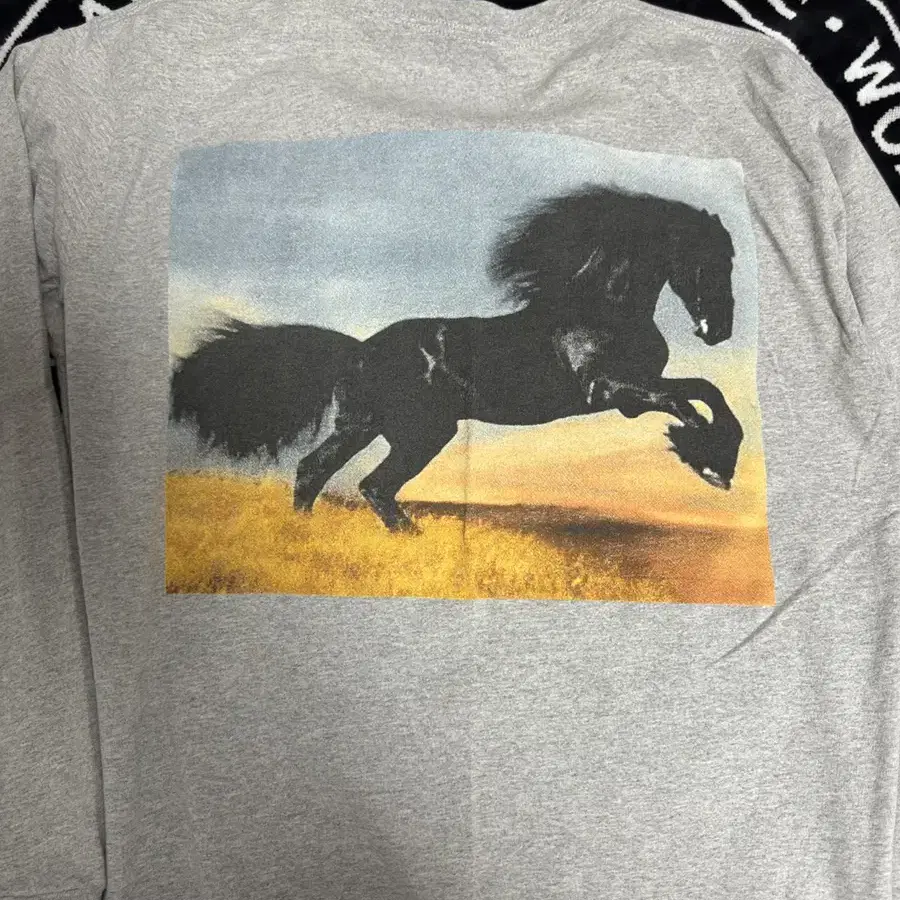 Supreme 14fw Stallion L/S Tee 롱슬리브 xl