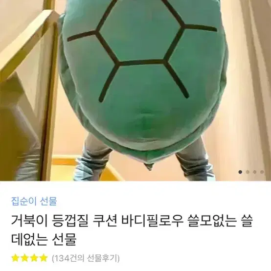 거북이 쿠션