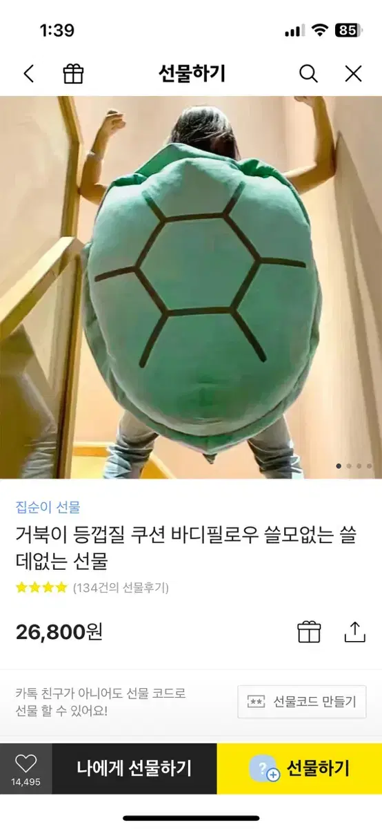 거북이 쿠션