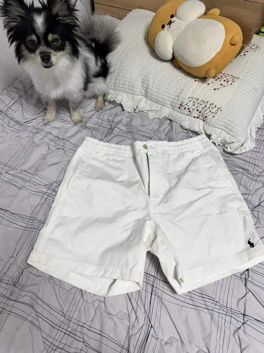 Polo Prepster Shorts M