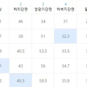 웰링 레귤러 핏 데님 팬츠 미드 블루 L