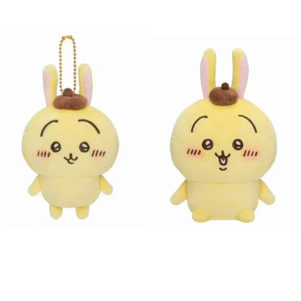 Find)Pompompurin Usagi