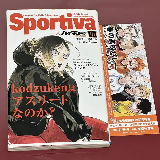 하이큐 켄마 sportiva 스포티바