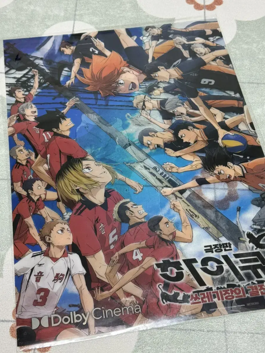 Poleaxanthus haikyuu Crystal Dolby poster in the dump.