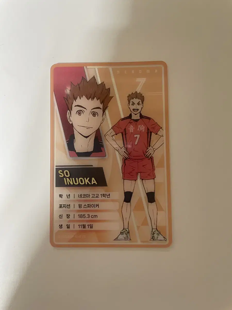 The Modern haikyuu Nekoma Inuoka Clear kard Duel in the Junkyard