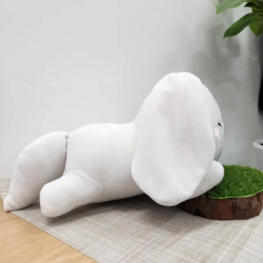 토끼 봉제인형