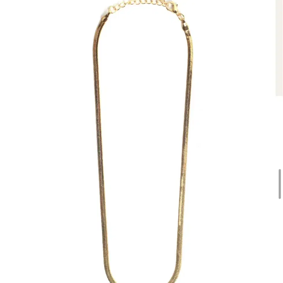 티오유 Gold snake necklace 스네이크 골드 목걸이