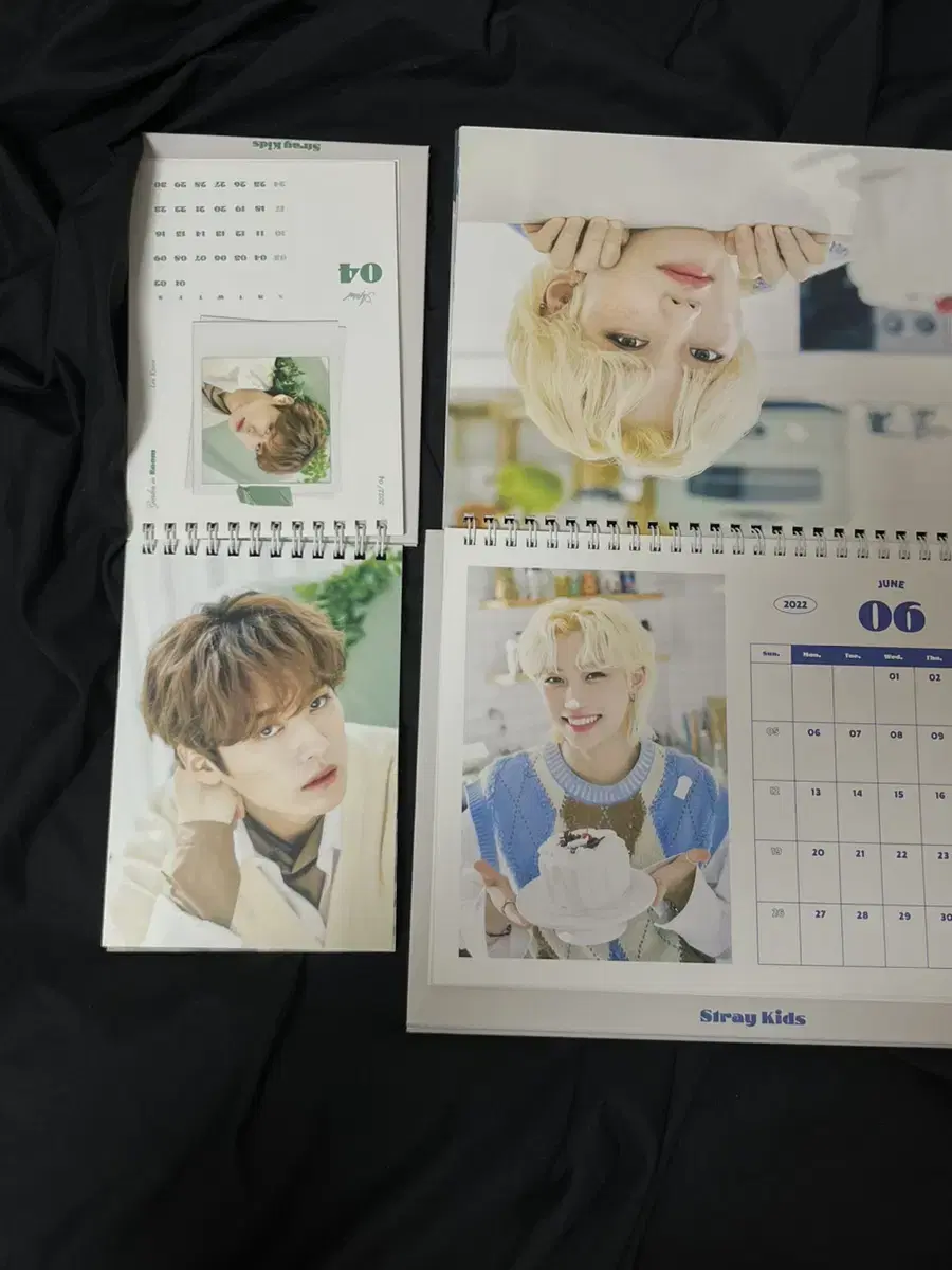 Enable) skz 2022 seasons greetings Calendar (with minis) (tappo)