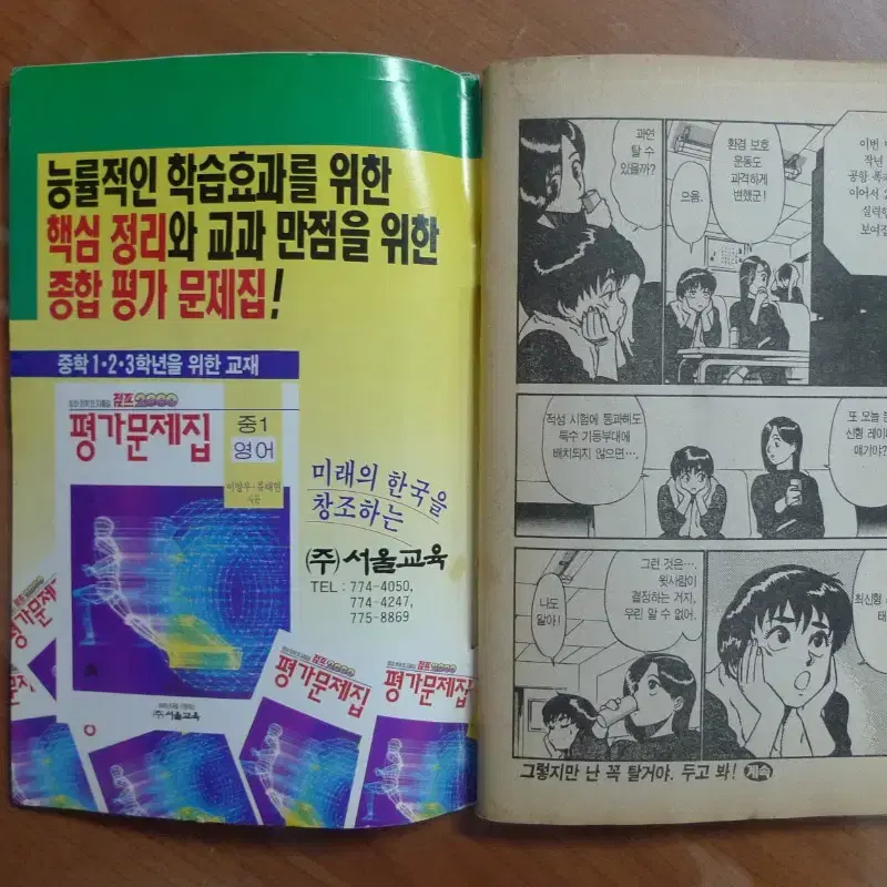 1992년 제25호 소년 만화 잡지 아이큐점프 별책부록 만화 드래곤볼