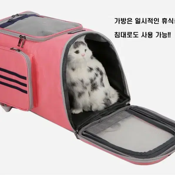 강아지 고양이 이동가방 백팩