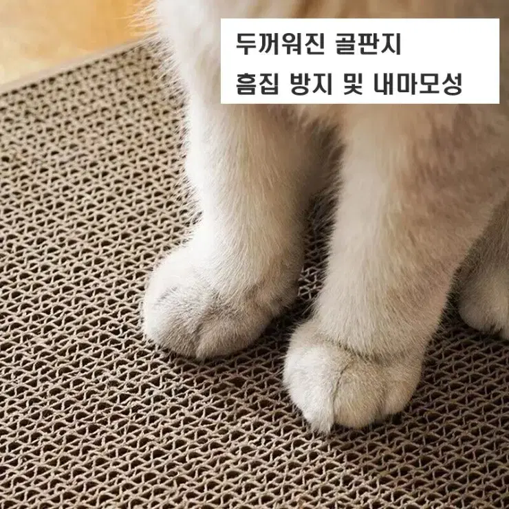 고양이L자형스크래쳐보드,고양이 장난감