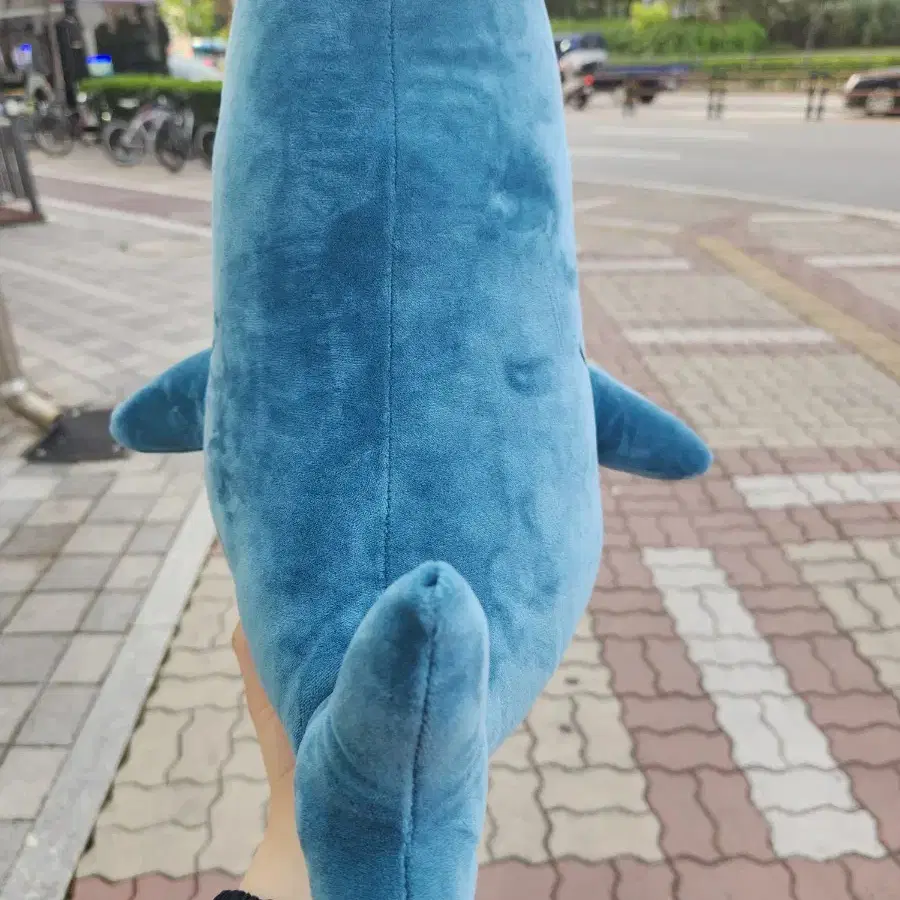 40cm 고양이 인형