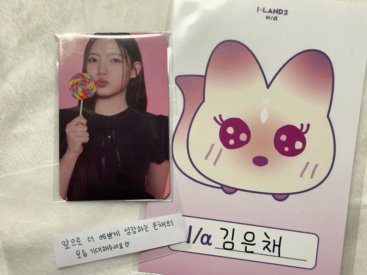 Ireland2 Eunchae Kim Reverse Engineering photocard Fortune Cookie Message pop up postcard Bulk