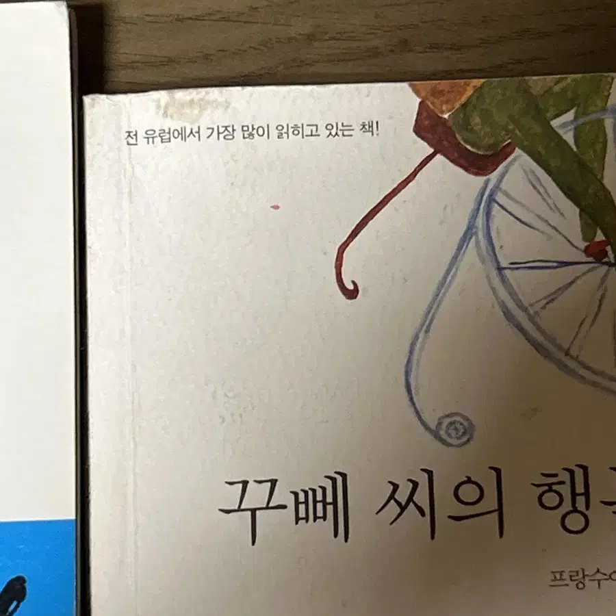 48분 기적의 독서법, 꾸뻬씨의 행복여행