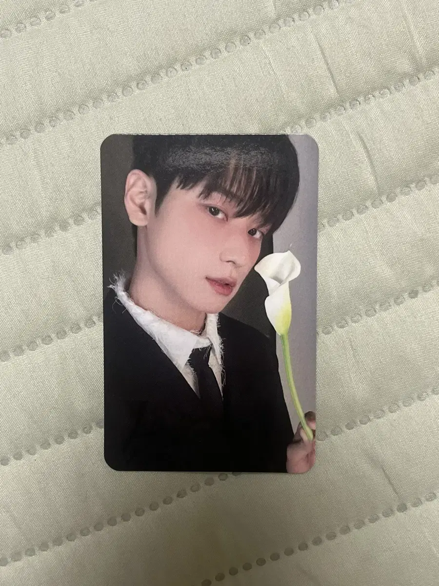 The Boyz juyeon minirecord secondary giant hinger photocard