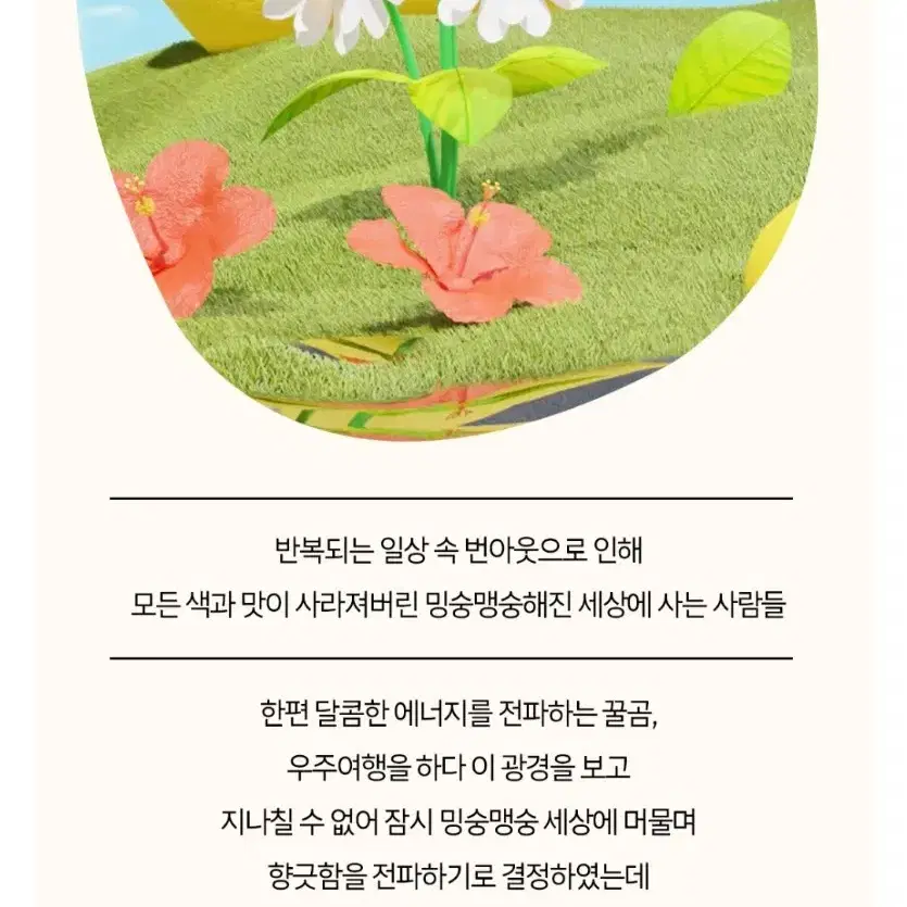 단한시간특가 도밍고꿀민트차 외3종선택 20TX2개 총40T8500원