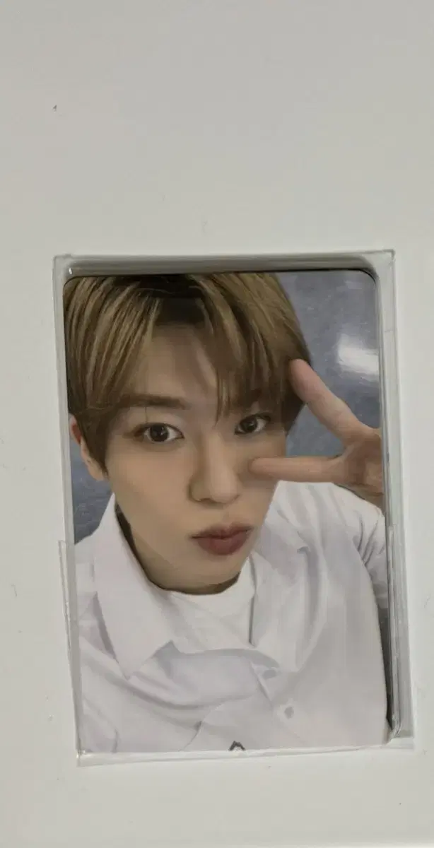 nct wish entry photocard fortune fortune photocard