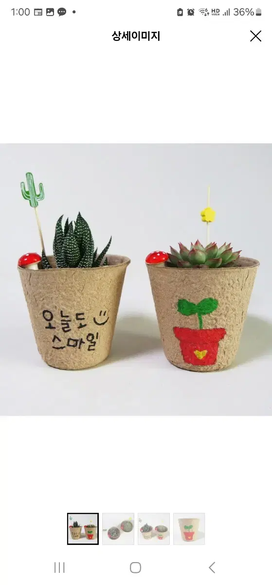 다육식물 종이 화분 그리기 DIY 키트