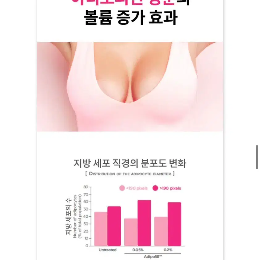 (미개봉새상품) 르네르블랑 백옥 글래머크림 미백크림