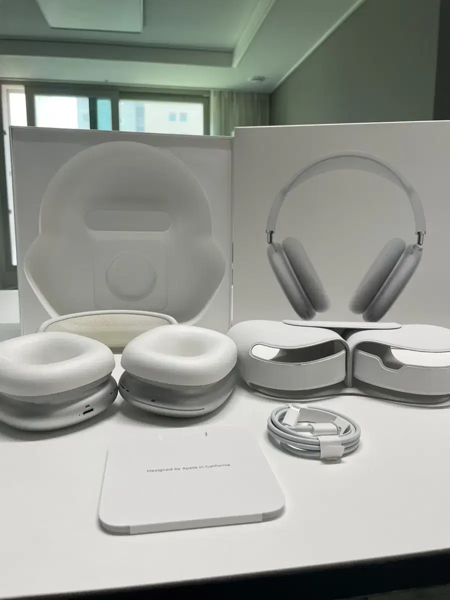 AirPods Max 실버 에어팟맥스 실버