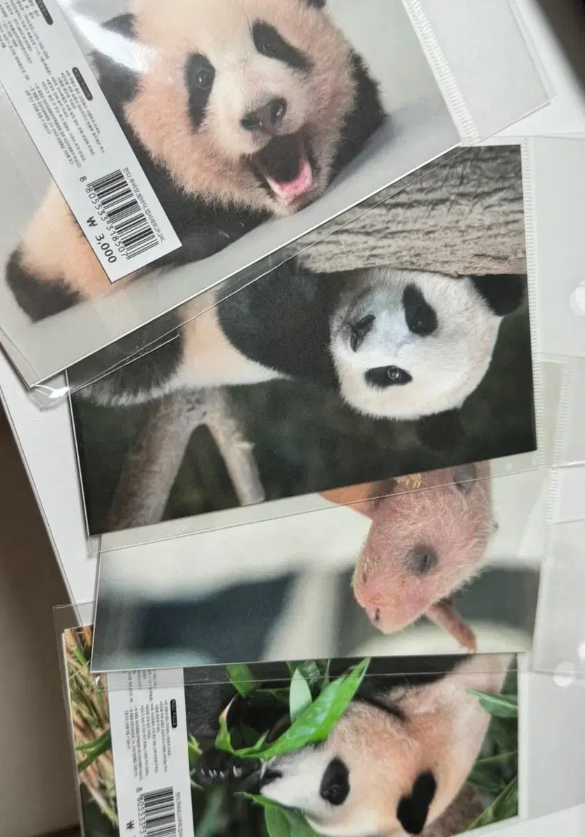 Fubao photorealistic postcard set of 4 sells for less than full price