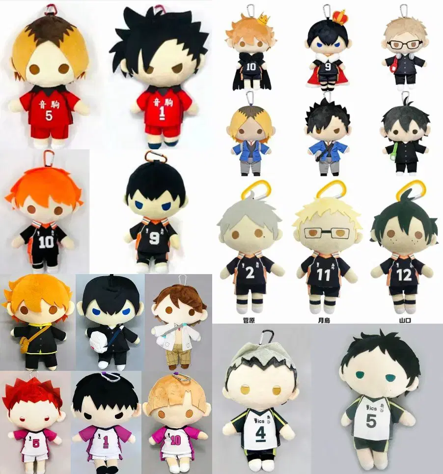 I want to buy the haikyuu pen pouch