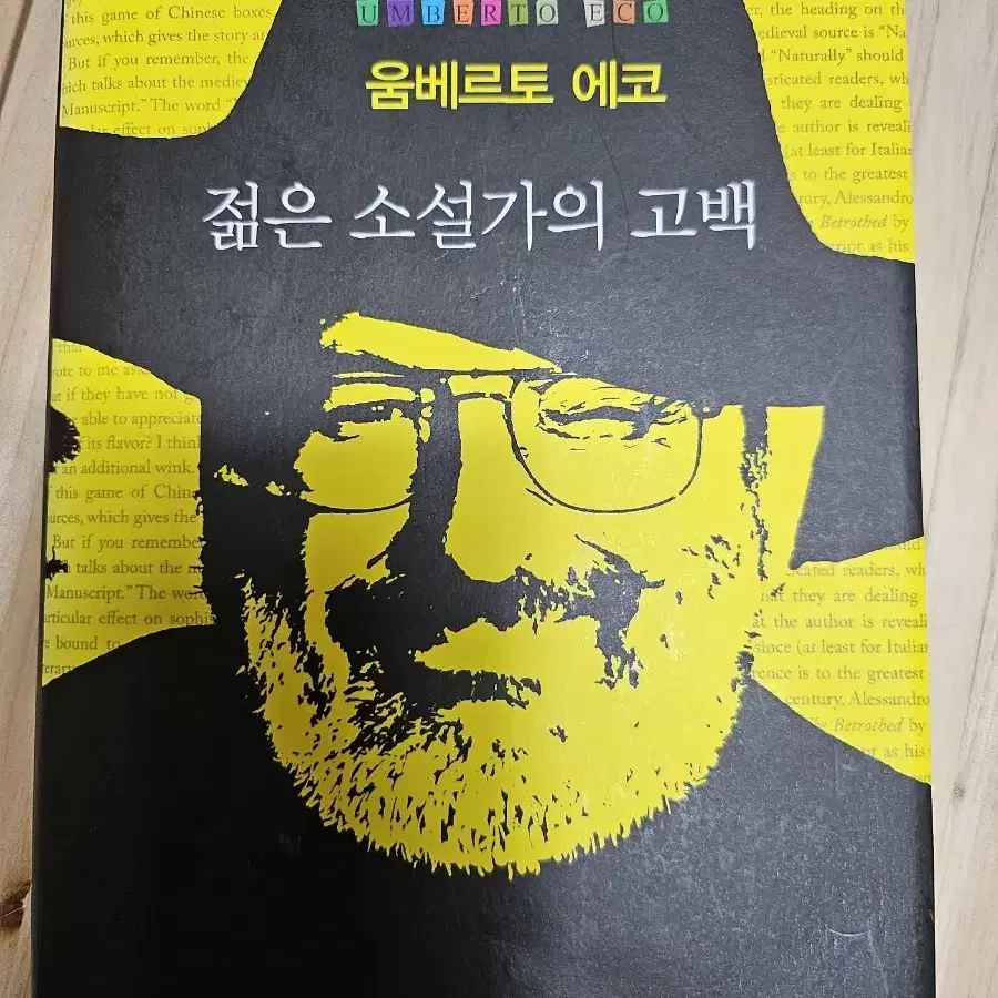 젊은 소설가의 고백