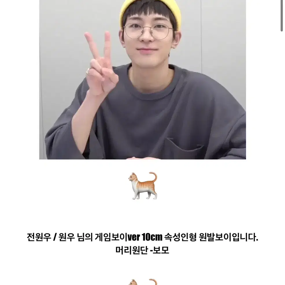 오공쿱 오공쭌 원발보이 세븐틴 에스쿱스 준 원우 인형