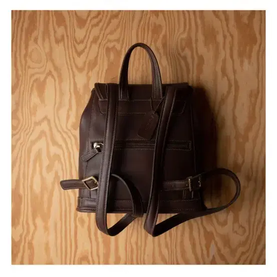 old COACH - Leather Rucksack (Mahogany)