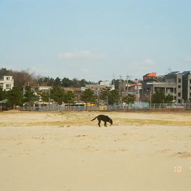 펜탁스 에스피오 120 자동 필카 S급