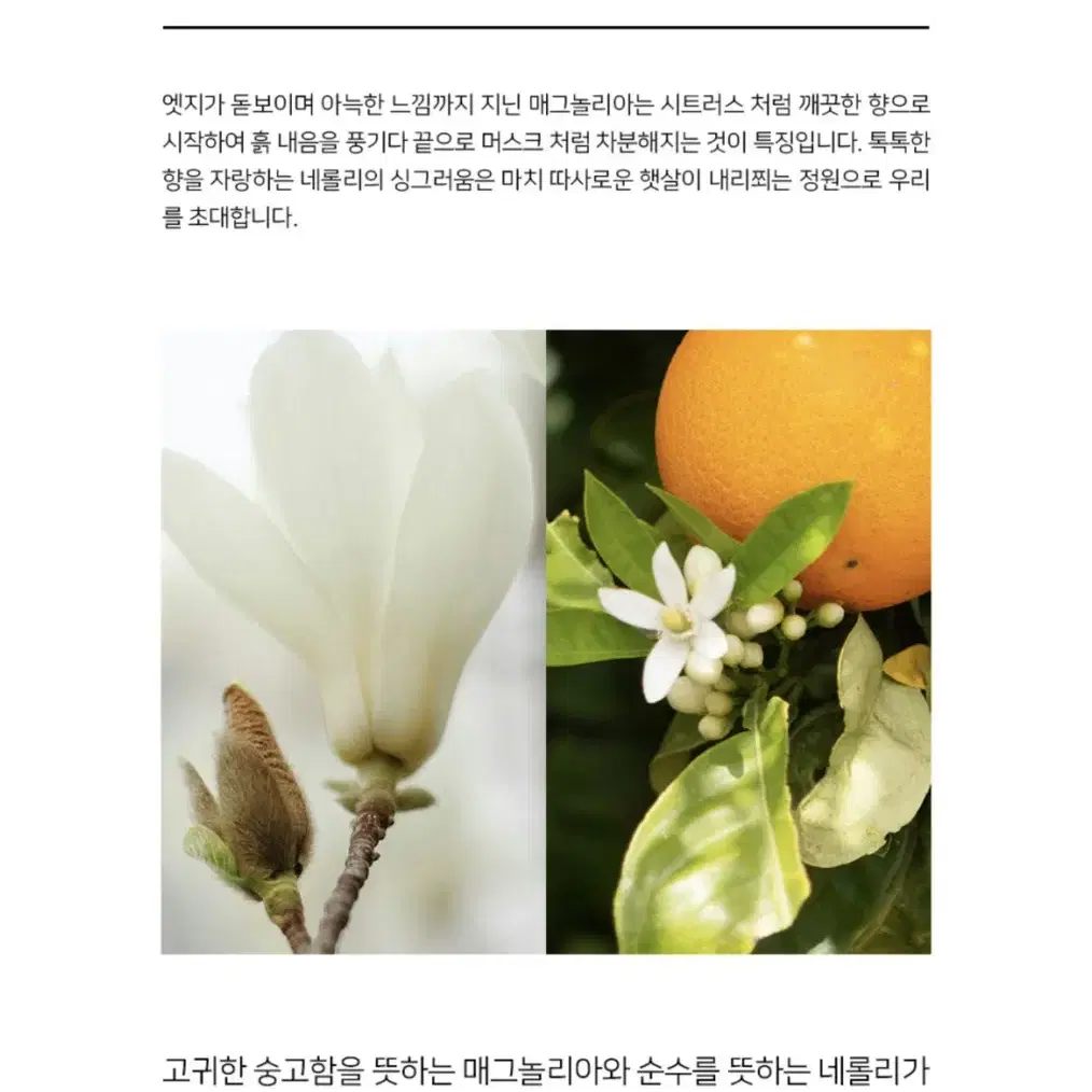 [새상품] 파뮤 핸드워시 (정가 46,000원)