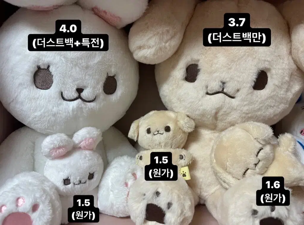 NCT Dream doll wts (Kongzen, Bokzen, Kongjam, Wangjam, Wangzen)