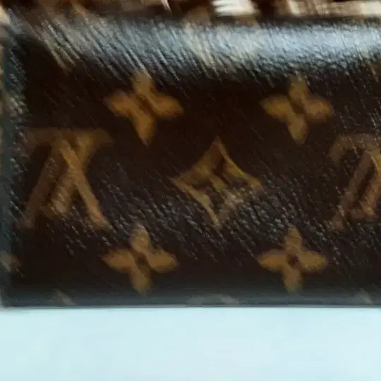 루이비통 카드지갑 Louis Vuitton Wallet 카드지갑 정품