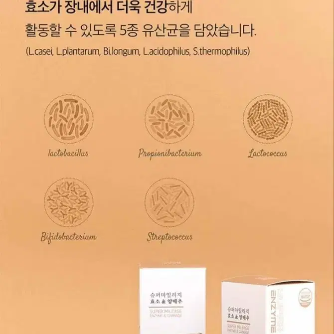 효소양배추 900mg 90정