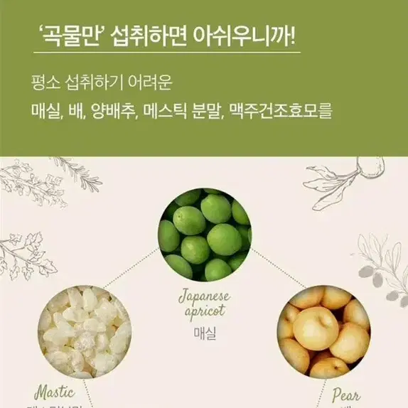 효소양배추 900mg 90정