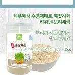 새싹보리분말 250g 청정제주 무농약