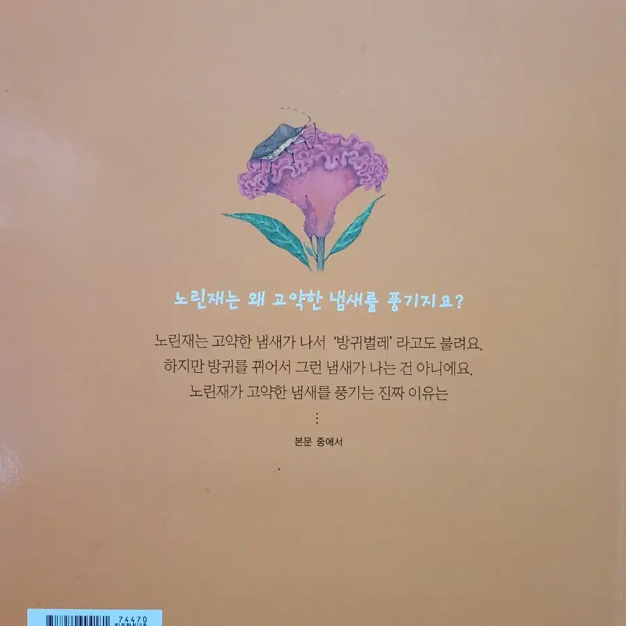 달팽이야, 넌 왜 집을 지고 다니니?