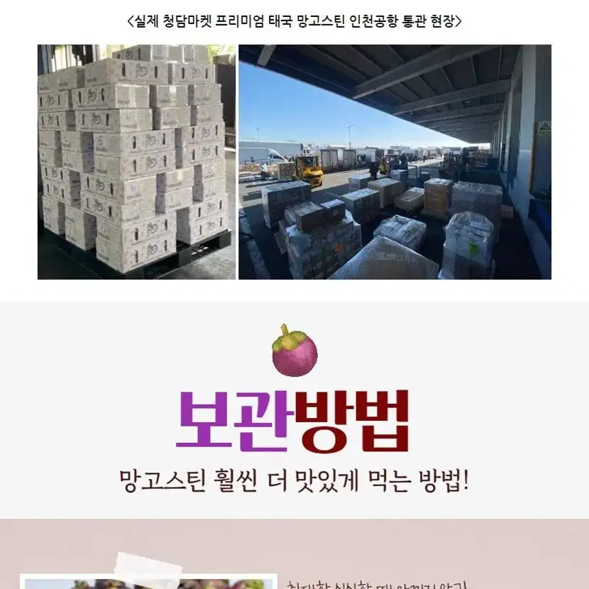 청담마켓 네이버 4.7 이상 태국 직송 생 망고스틴 500g x 6망